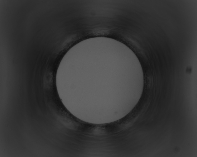 X0000091860308200710031046