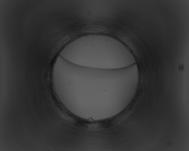 X0000091860309200710031046