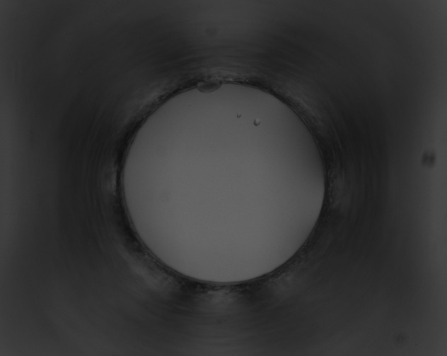 X0000091860310200710031046