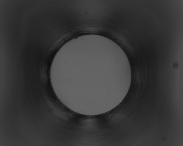 X0000091860312200710031046