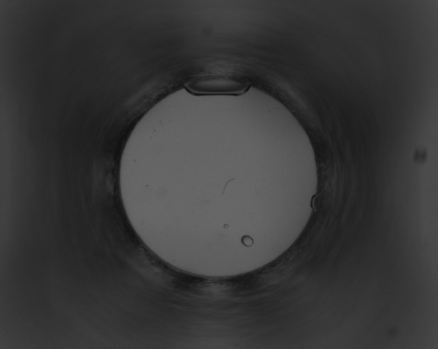 X0000091860313200710031046