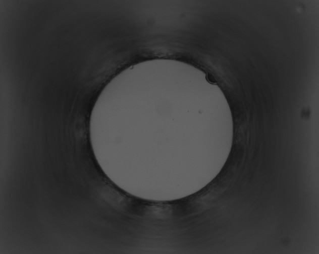 X0000091860317200710031046