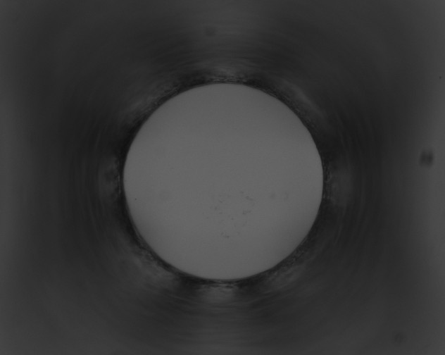 X0000091860318200710031046