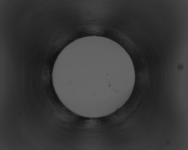 X0000091860320200710031046