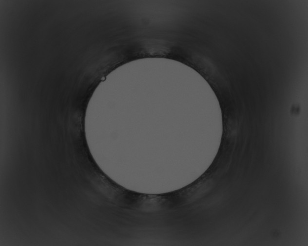 X0000091860321200710031046