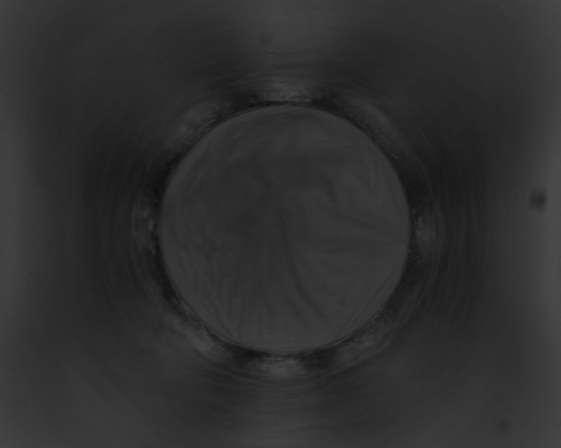 X0000091860322200710031046