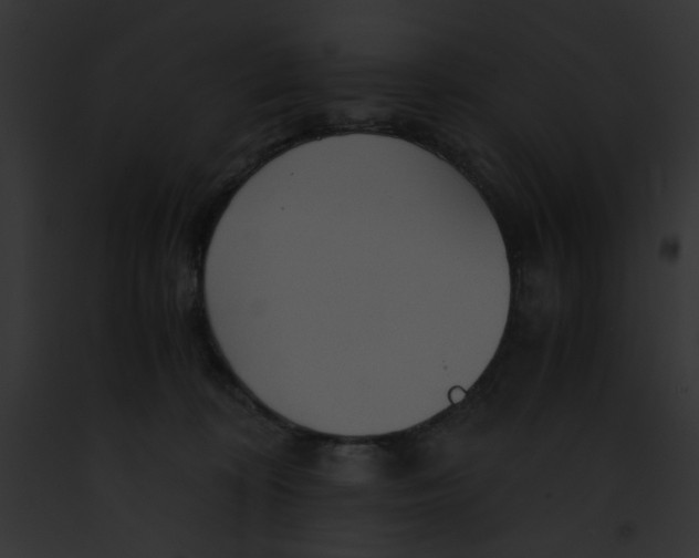 X0000091860324200710031046