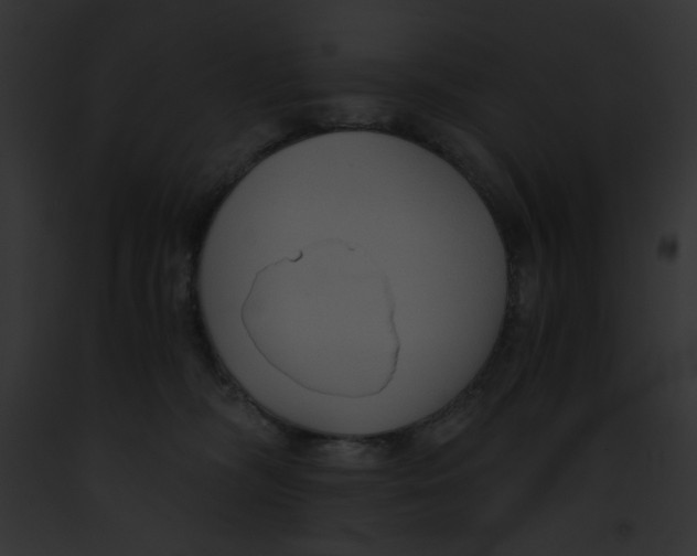 X0000091860326200710031046