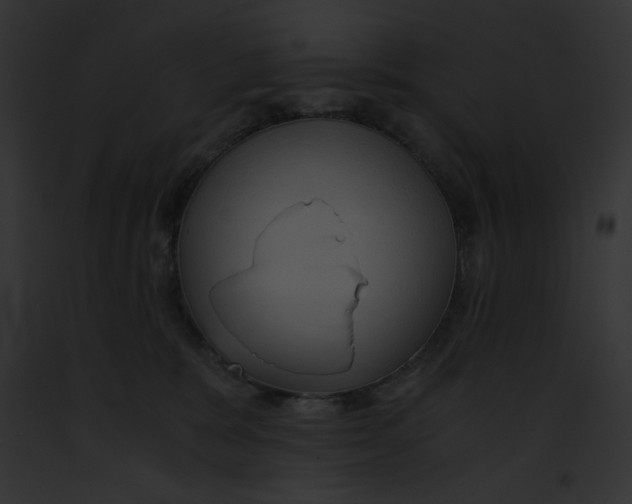 X0000091860327200710031046