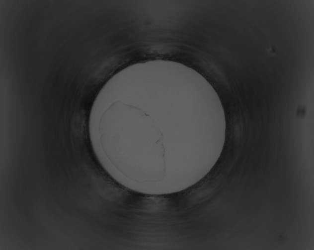 X0000091860328200710031046