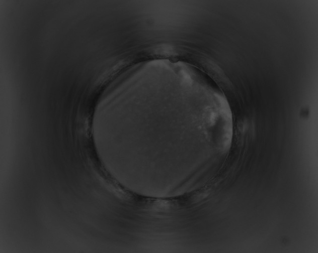 X0000091860330200710031046