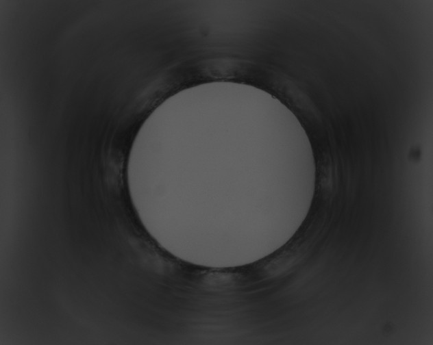 X0000091860332200710031046