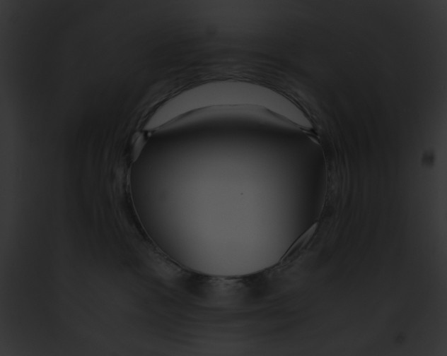 X0000091860333200710031046