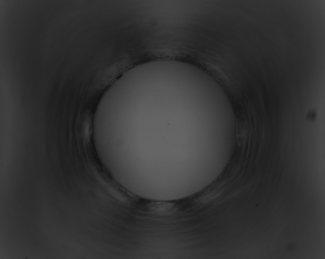 X0000091860334200710031046