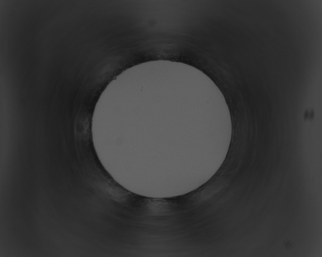 X0000091860336200710031046