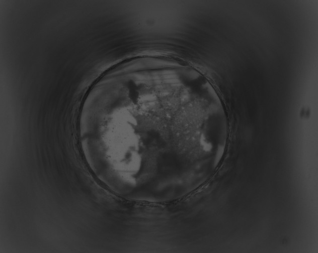 X0000091860337200710031045