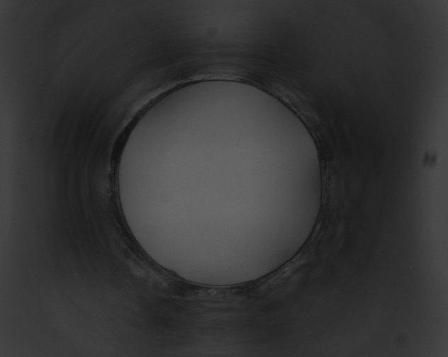 X0000091860338200710031045