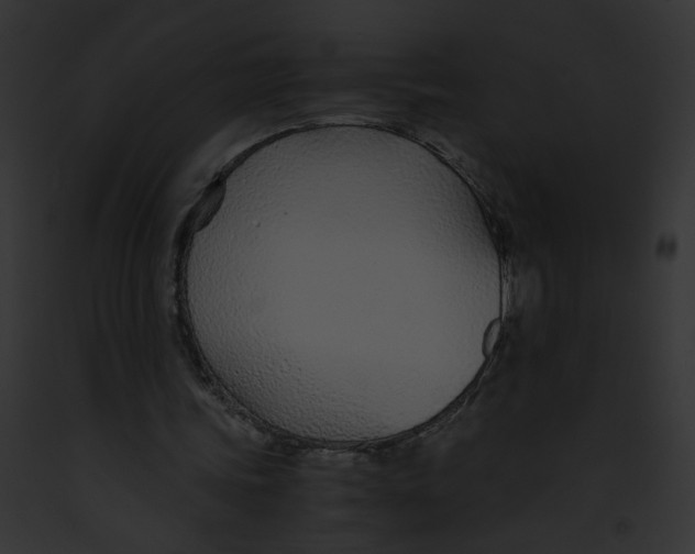 X0000091860339200710031045