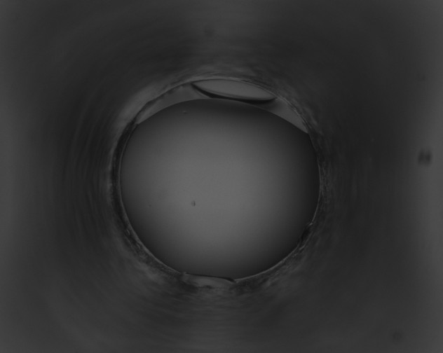 X0000091860340200710031045