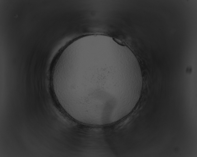 X0000091860342200710031045