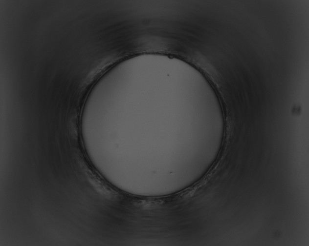 X0000091860345200710031045