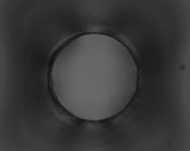 X0000091860346200710031045