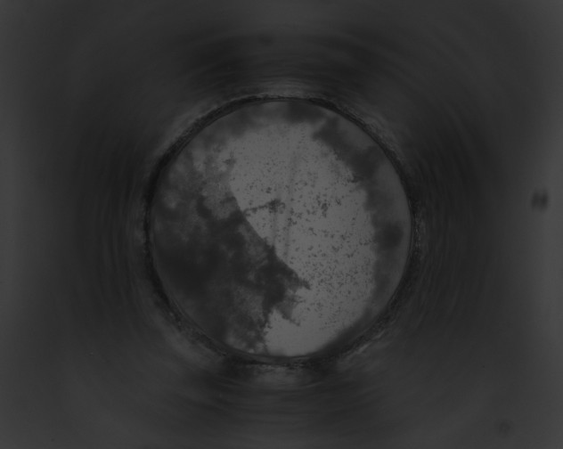 X0000091860347200710031045