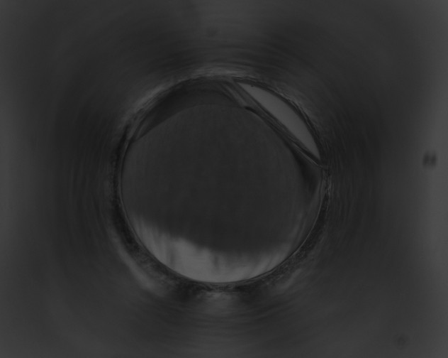 X0000091860352200710031045