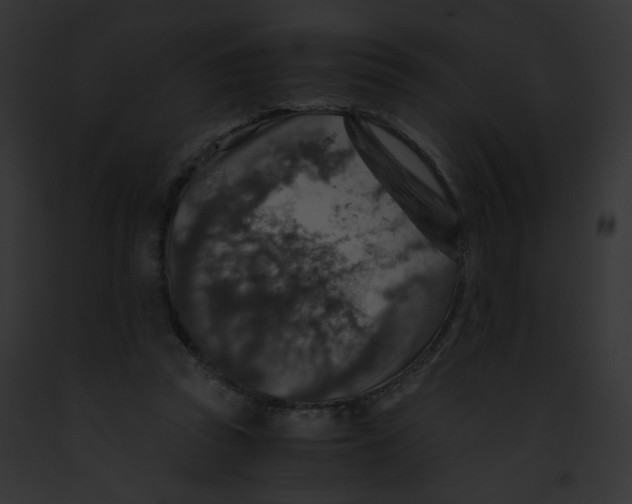 X0000091860353200710031045