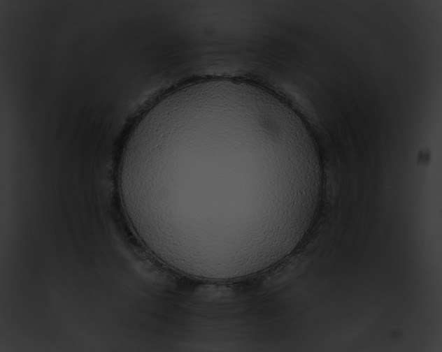 X0000091860354200710031045