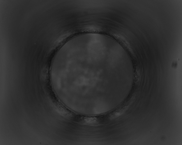 X0000091860355200710031045