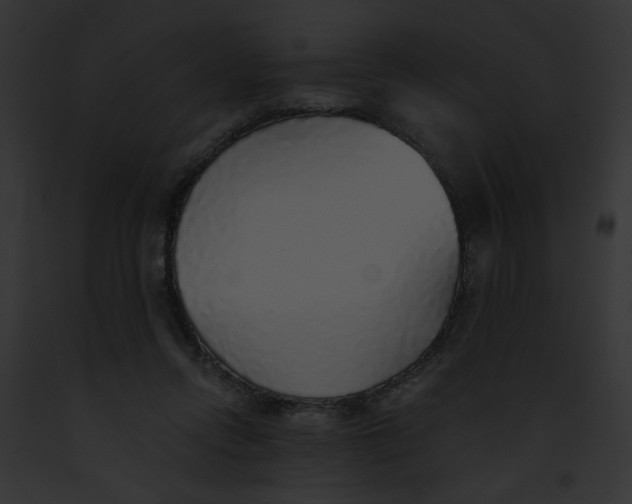 X0000091860358200710031045