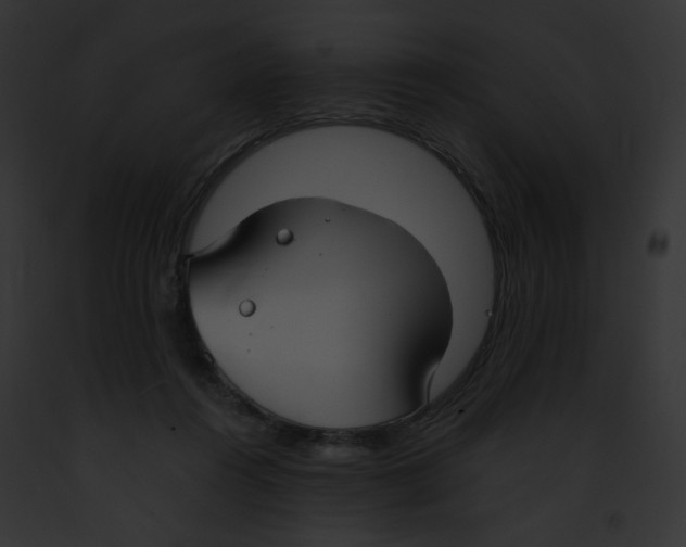 X0000091860360200710031045