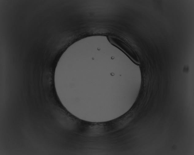 X0000091860362200710031045