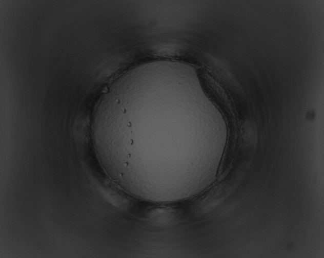 X0000091860364200710031045