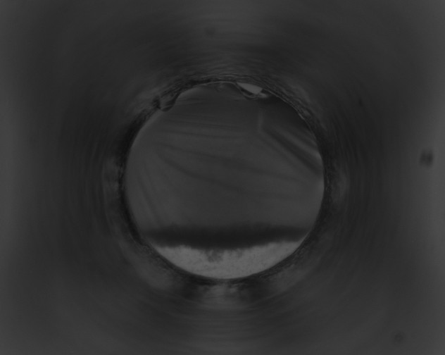 X0000091860366200710031045