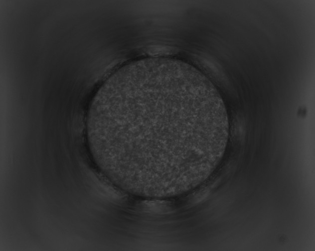 X0000091860367200710031045