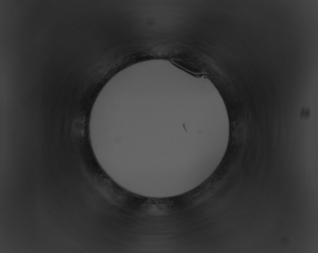 X0000091860368200710031045