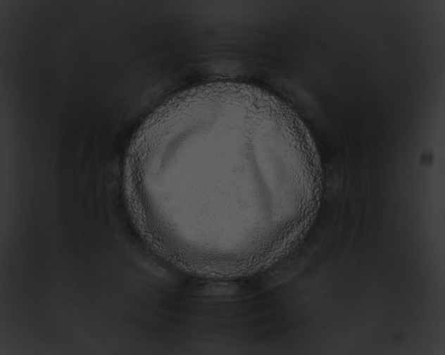 X0000091860369200710031045