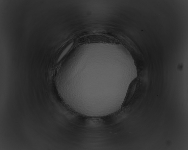 X0000091860372200710031045