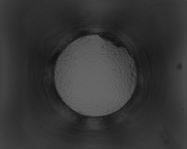 X0000091860373200710031045