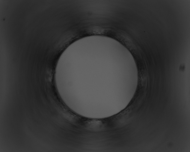 X0000091860374200710031045