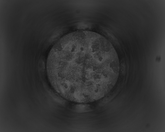 X0000091860375200710031045