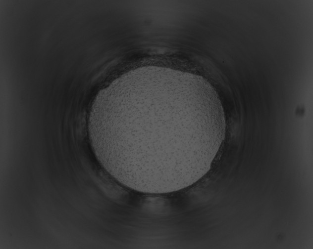 X0000091860376200710031045