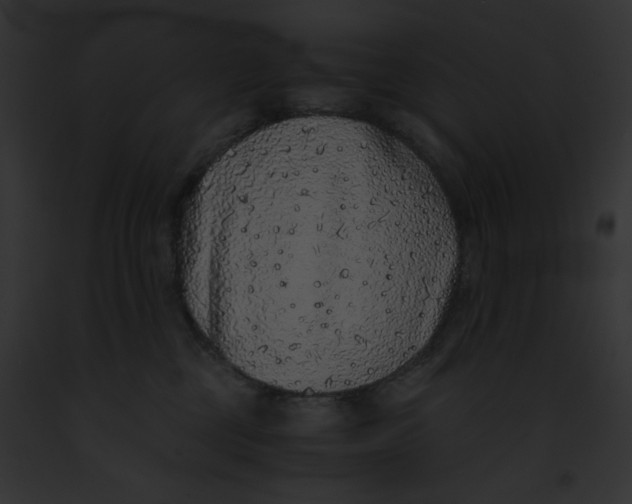 X0000091860377200710031045