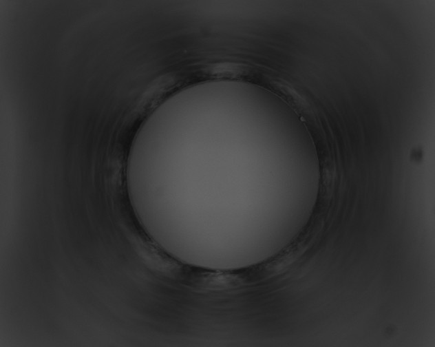 X0000091860379200710031045