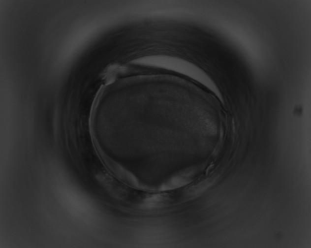 X0000091860382200710031046