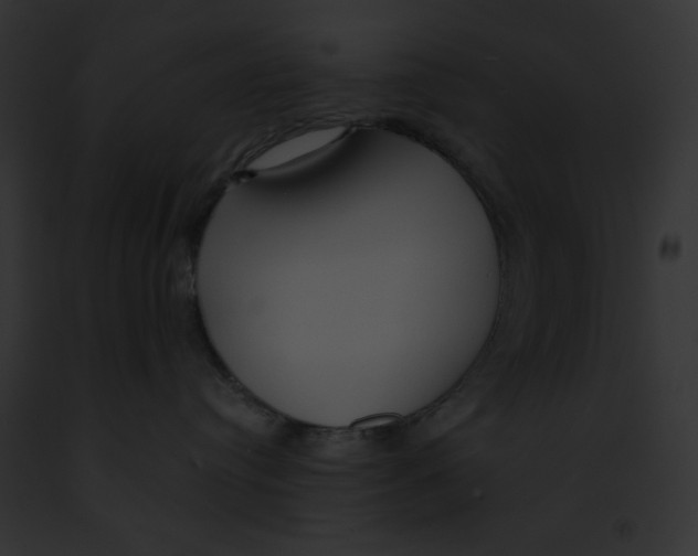 X0000091860384200710031046