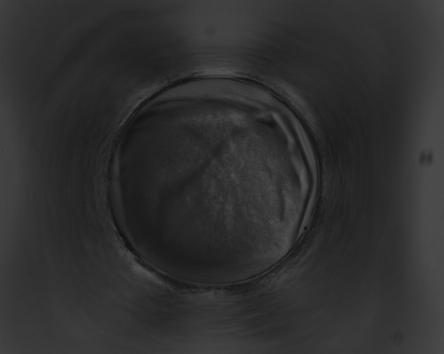 X0000091860385200710031045