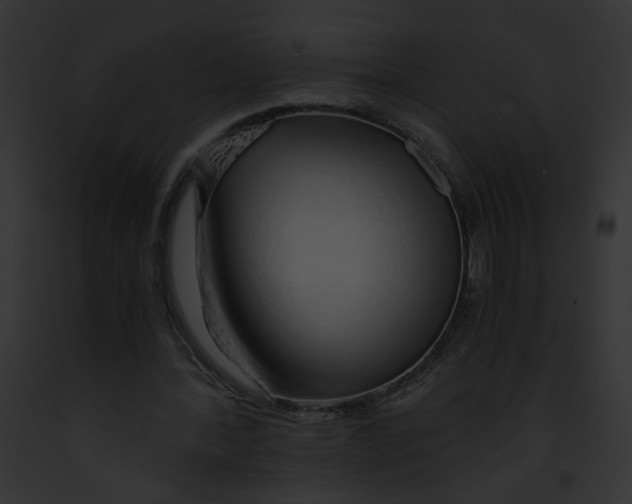 X0000091860388200710031045